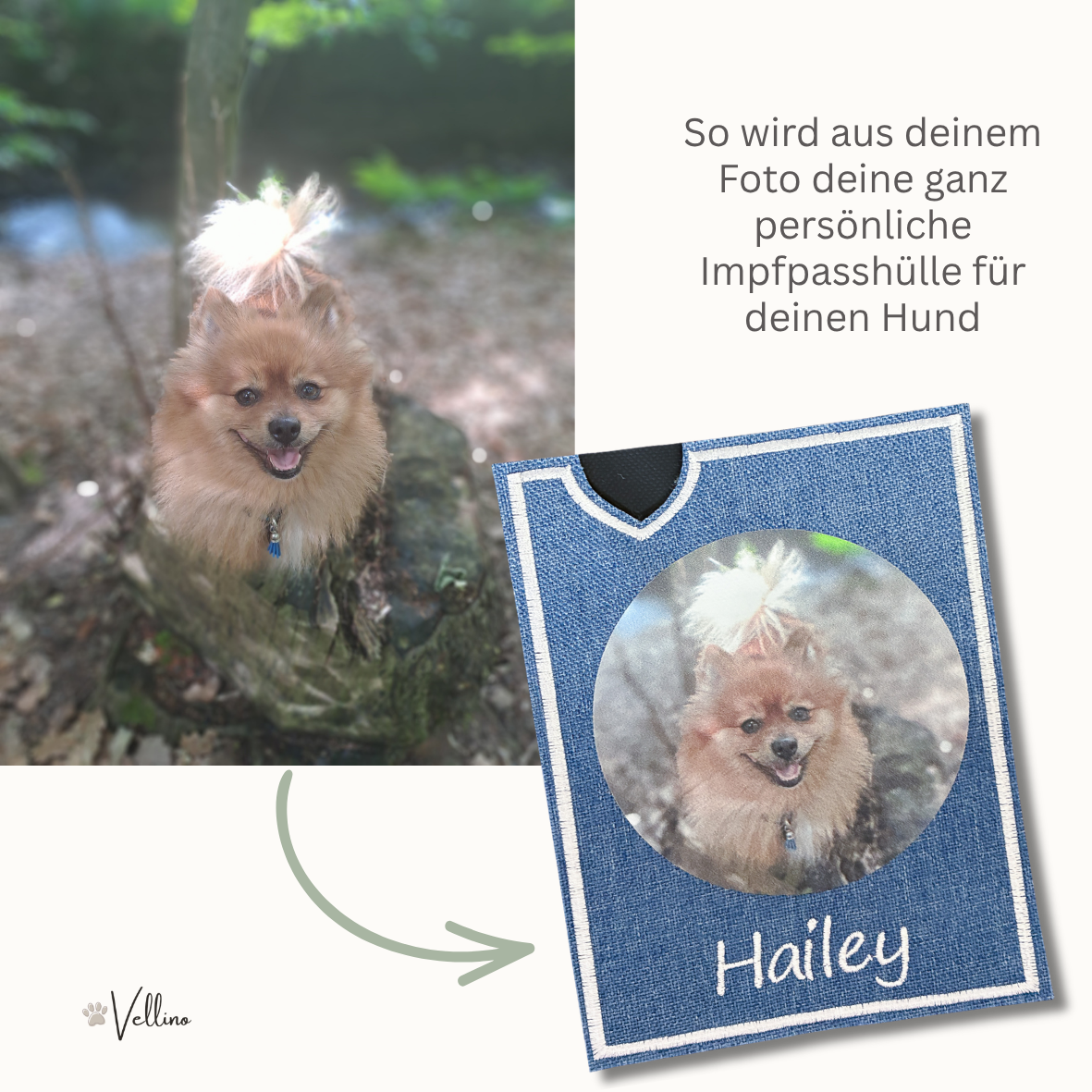 Personalisierte Impfpasshülle für Hunde mit eigenem Foto