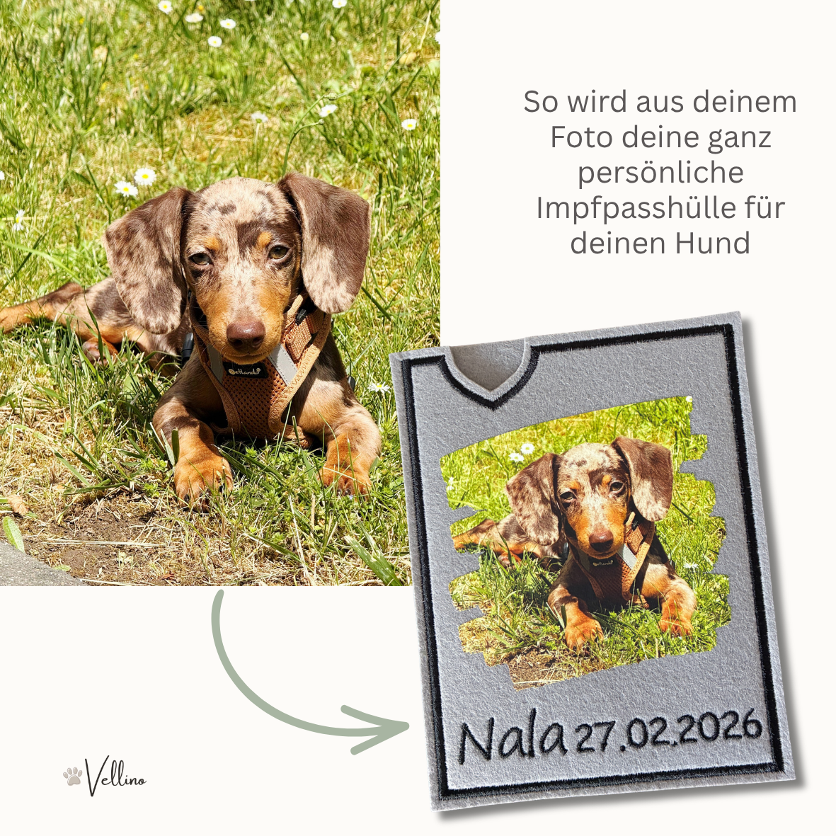 Personalisierte Impfpasshülle für Hunde mit eigenem Foto