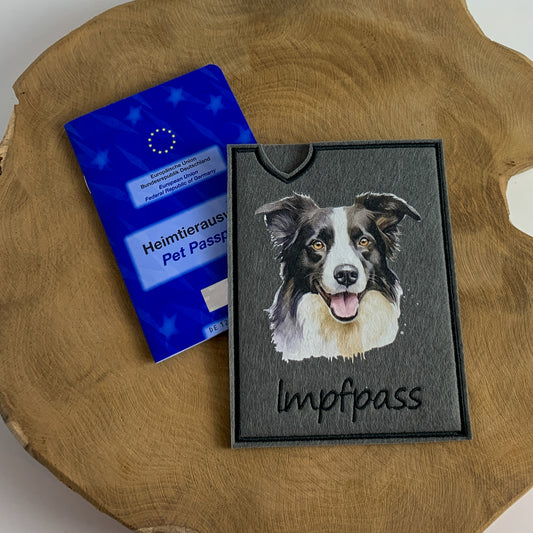 Border Collie Impfpasshülle (Motiv 1)